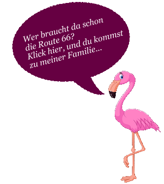 Flamingos im Zwillbrocker Venn